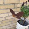Sommerfugl med blød kant på snor 1 Sommerfugl i cortenstål som hænger over en blomsterkrukke